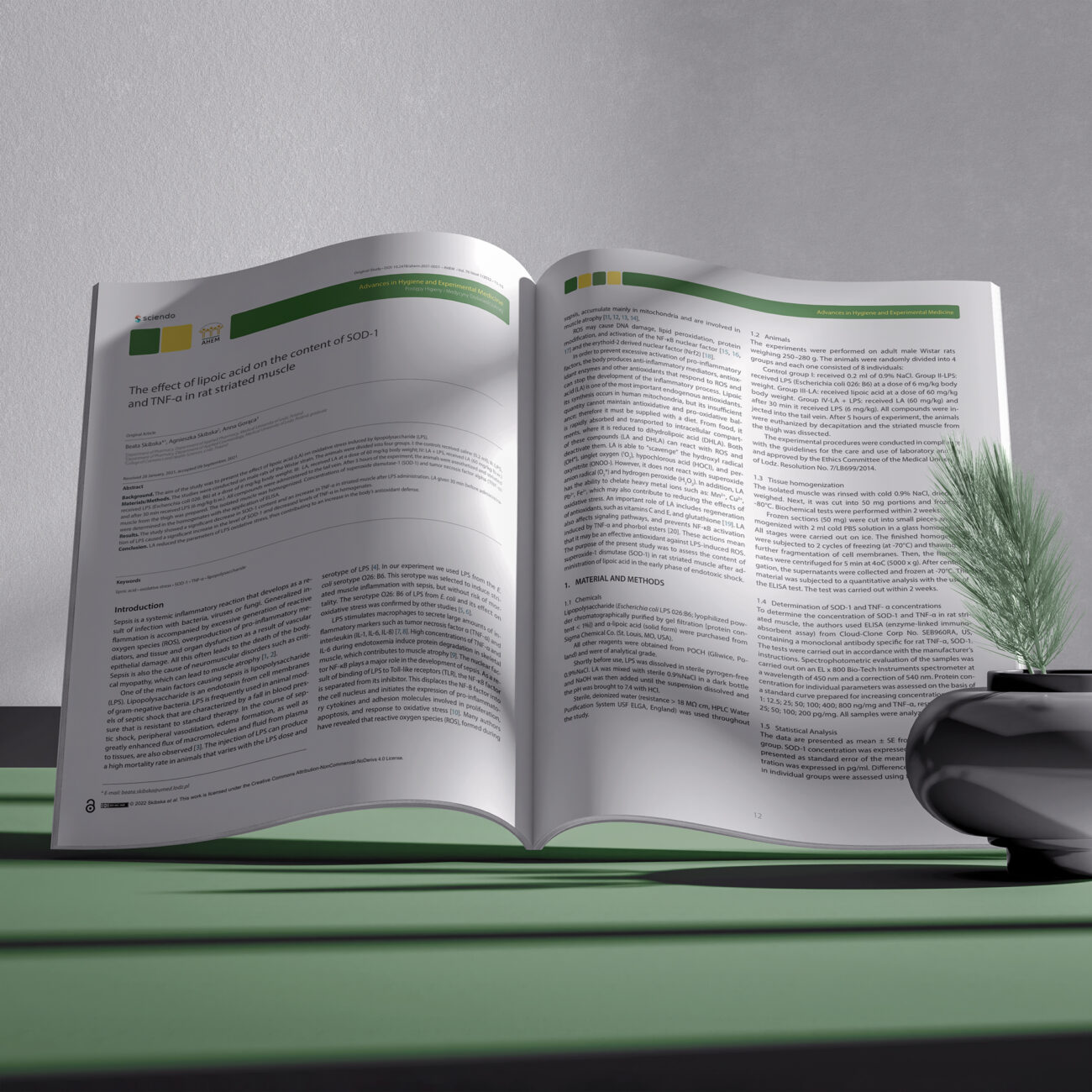 AGNIESZKA SKIBSKA - COSMETOLOGIST (5)